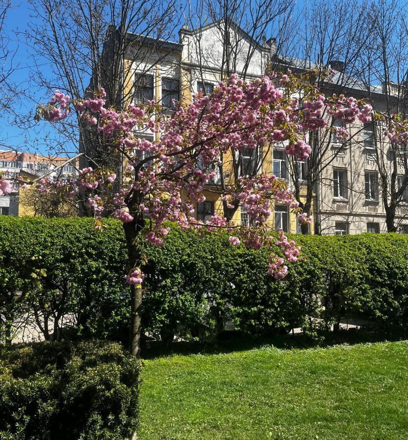 Iren Smart Apartment Lviv Exteriör bild